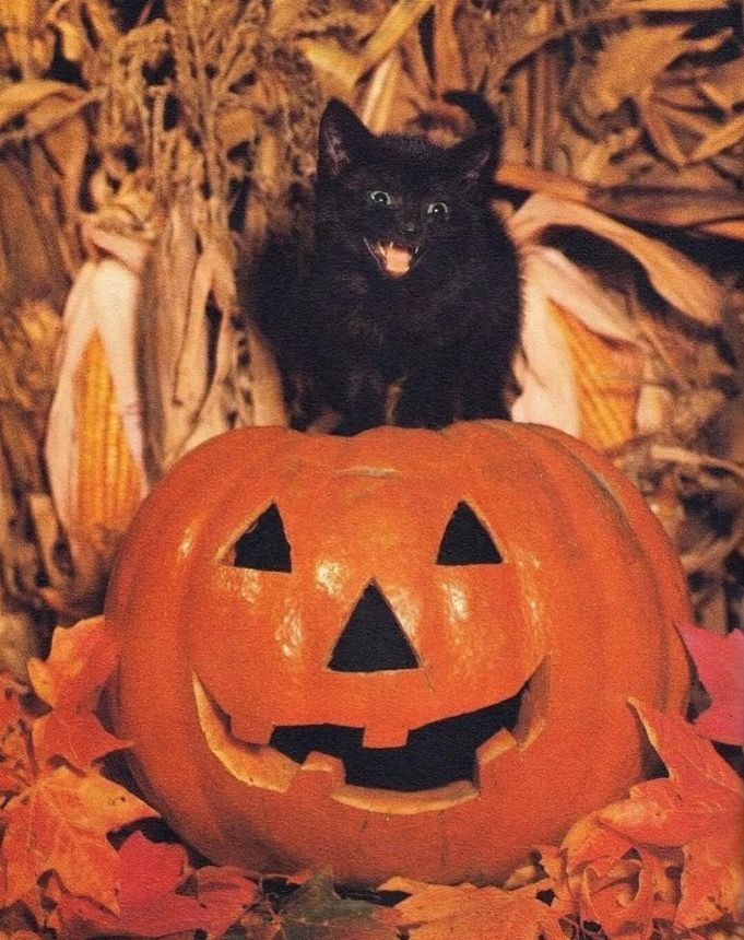 Easy Halloween Outfit Ideas with Hoodies, T-Shirts, and Hats